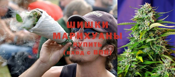ПСИЛОЦИБИНОВЫЕ ГРИБЫ Абаза