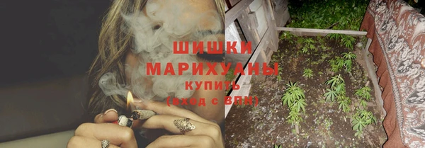 ПСИЛОЦИБИНОВЫЕ ГРИБЫ Абаза