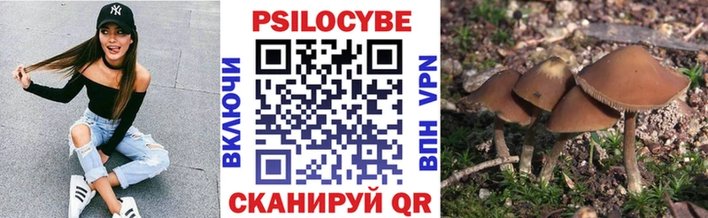 хочу   Новоаннинский  Псилоцибиновые грибы Psilocybine cubensis 