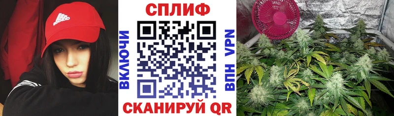 МАРИХУАНА план  Новоаннинский 